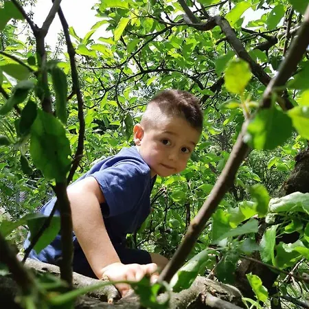 Kuca U Selu Sa Bilijar Salom Za Aktivan Odmor Mionica