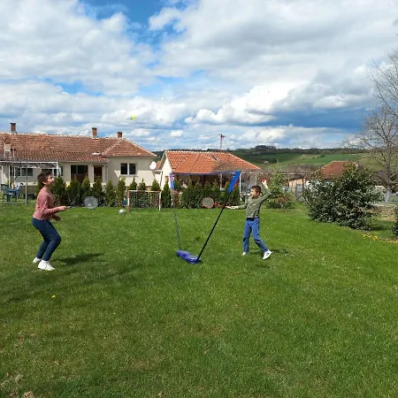 Kuca U Selu Sa Bilijar Salom Za Aktivan Odmor * Mionica