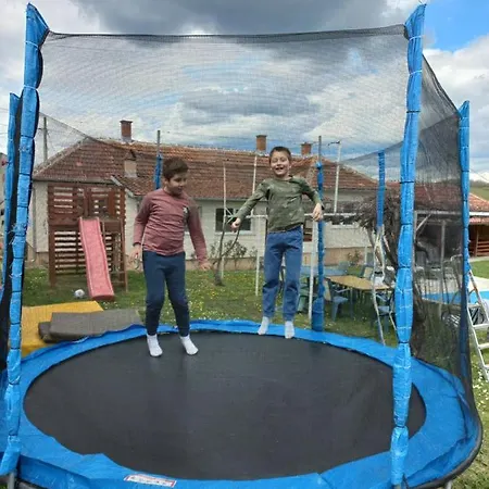 Kuca U Selu Sa Bilijar Salom Za Aktivan Odmor * Mionica