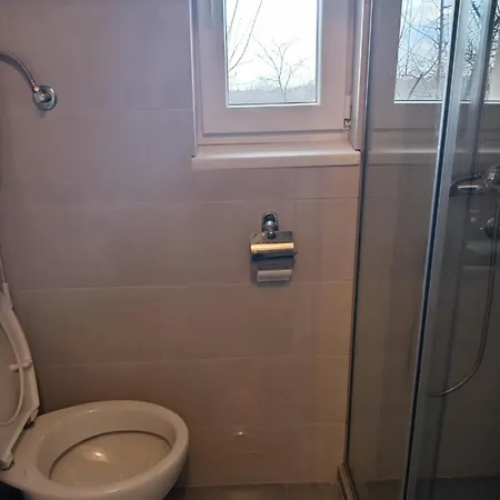 Kuca U Selu Sa Bilijar Salom Za Aktivan Odmor 度假居