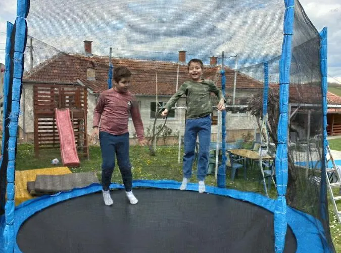 Kuca U Selu Sa Bilijar Salom Za Aktivan Odmor * Mionica