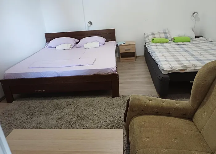 Kuca U Selu Sa Bilijar Salom Za Aktivan Odmor 度假居 Mionica